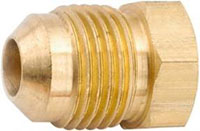 P2 Series.jpg